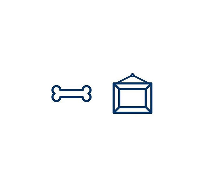 Skeleton (Beinagrind) = Bone + Frame/structure