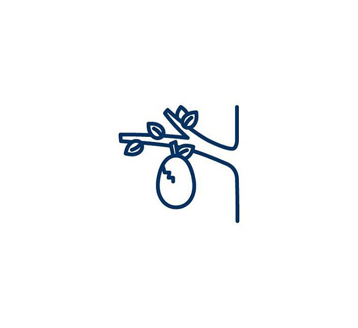 Eggplant (Eggaldin) = Egg + Fruit