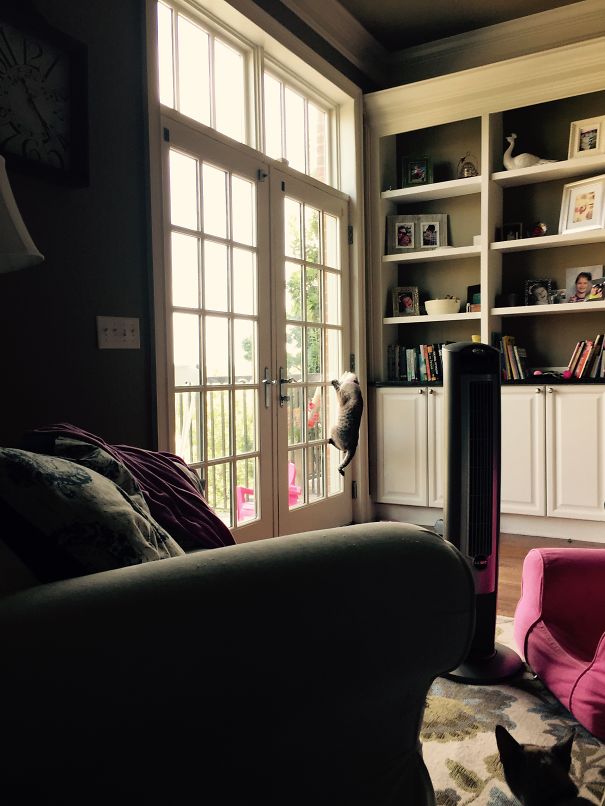 Gotta Get To The Top!