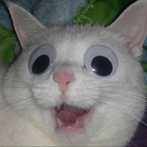 Caroline.trewenack avatar