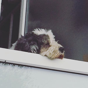 kiffy25081987 avatar