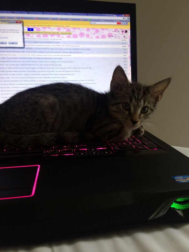 Mckibben Says That He's More Important Than Silly Emails