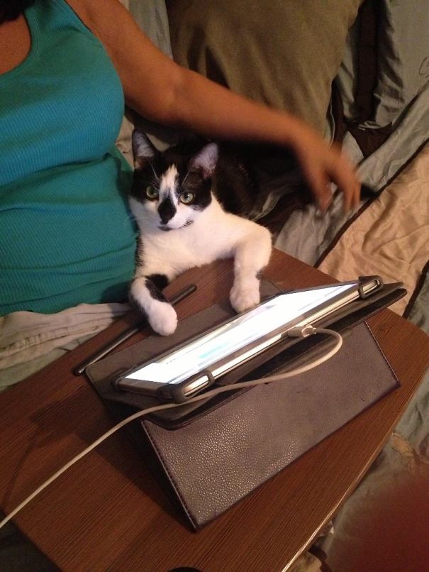 Now You Want A Picture? I'm Trying To Watch A Movie.