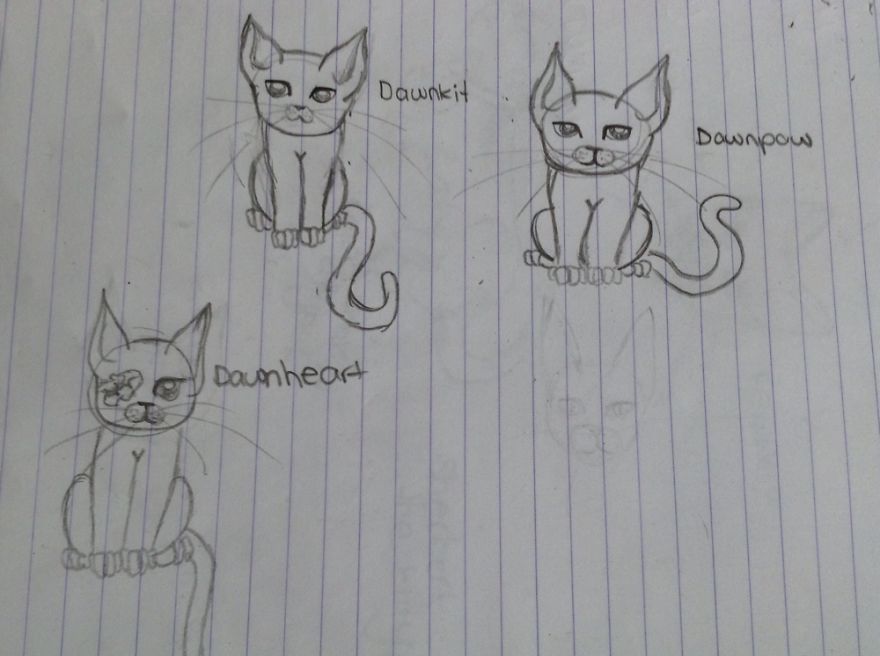 17 Cat Drawings From Within My Schoolbooks 17 Cat Drawings From Within My Schoolbooks