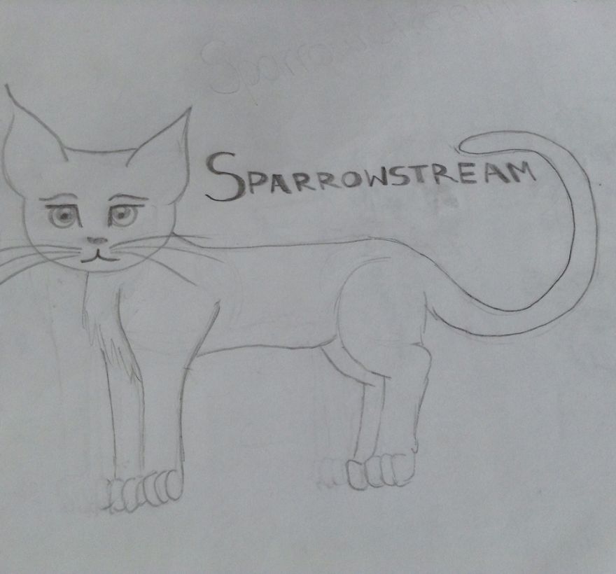 17 Cat Drawings From Within My Schoolbooks 17 Cat Drawings From Within My Schoolbooks