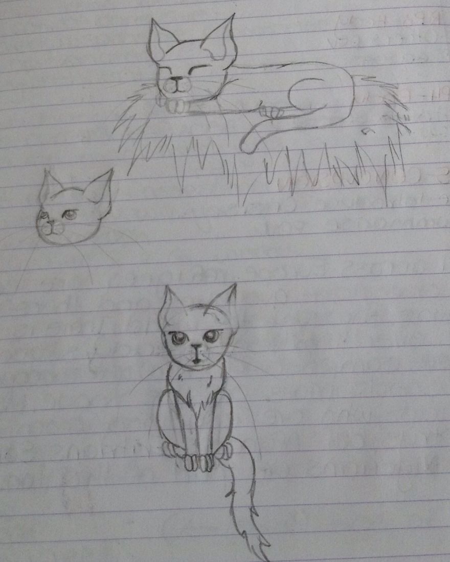 17 Cat Drawings From Within My Schoolbooks 17 Cat Drawings From Within My Schoolbooks