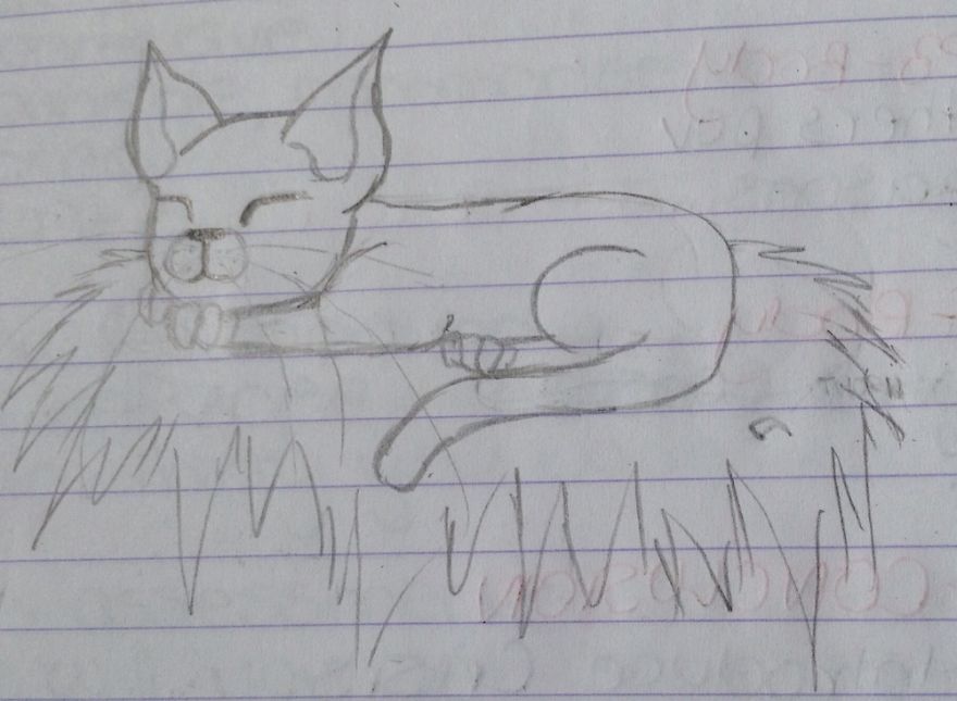 17 Cat Drawings From Within My Schoolbooks 17 Cat Drawings From Within My Schoolbooks