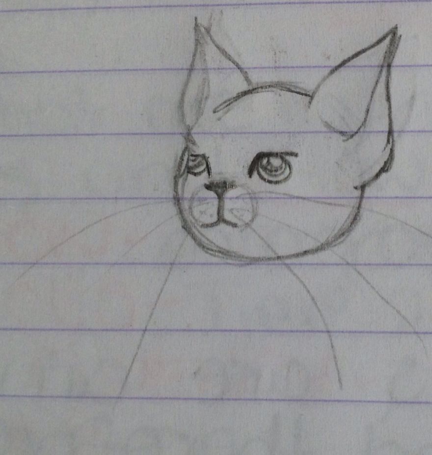 17 Cat Drawings From Within My Schoolbooks 17 Cat Drawings From Within My Schoolbooks