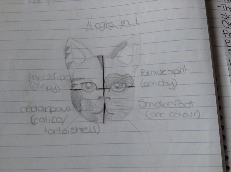 17 Cat Drawings From Within My Schoolbooks