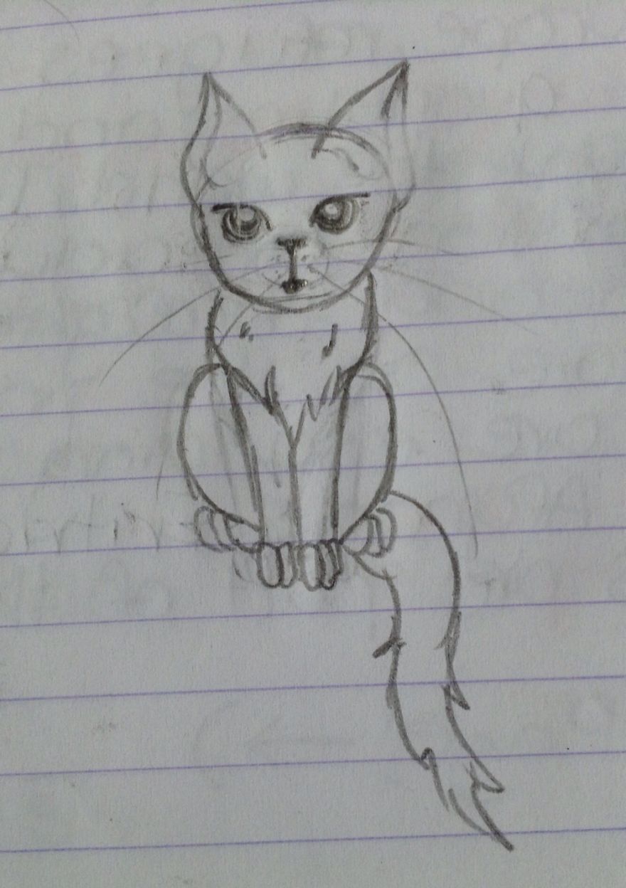 17 Cat Drawings From Within My Schoolbooks 17 Cat Drawings From Within My Schoolbooks