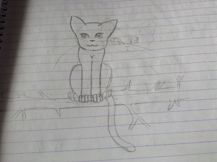 17 Cat Drawings From Within My Schoolbooks 17 Cat Drawings From Within My Schoolbooks