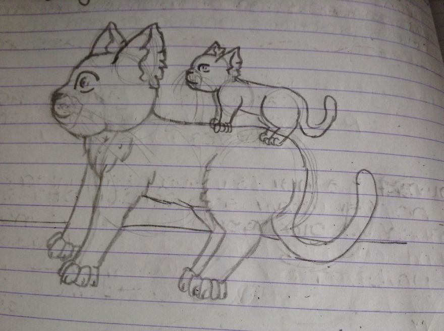 17 Cat Drawings From Within My Schoolbooks 17 Cat Drawings From Within My Schoolbooks