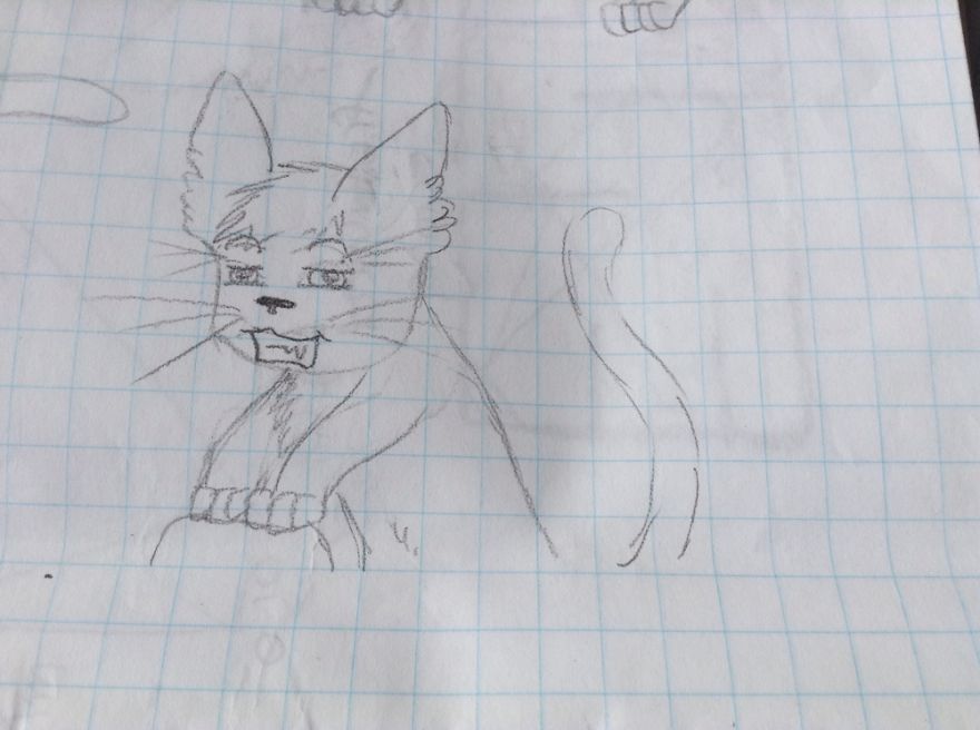 17 Cat Drawings From Within My Schoolbooks 17 Cat Drawings From Within My Schoolbooks