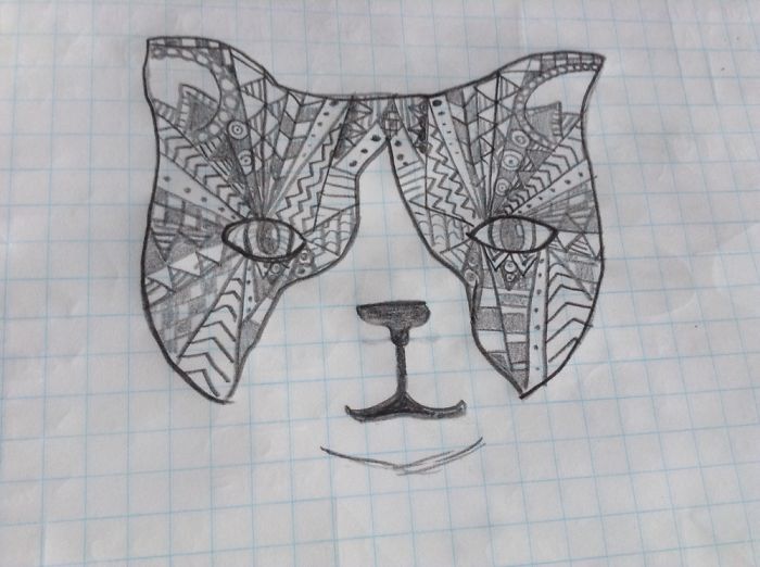 17 Cat Drawings From Within My Schoolbooks