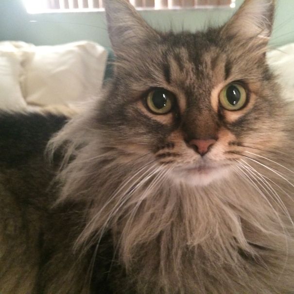 This Humidity Is Killing Me!