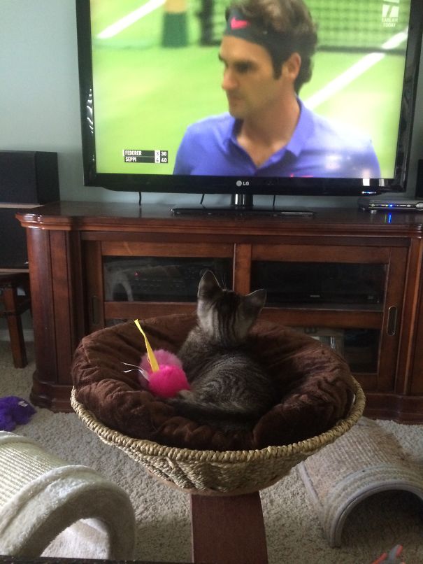 Tennis Fan!