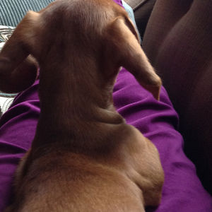 milligan_julie avatar