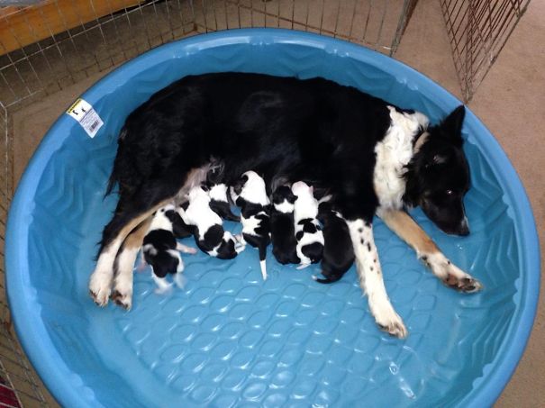 Sassy And Her Babies!