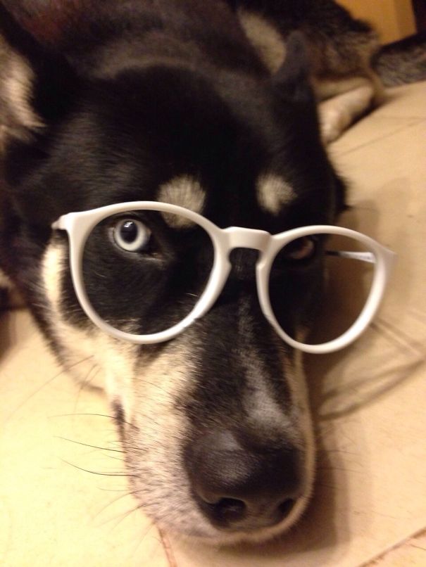 I Made A Huge Hipster Mistake