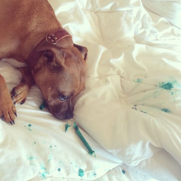 I Wrote You A Note...