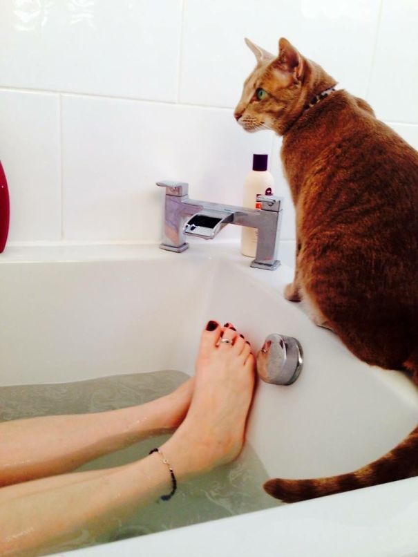 Is There No Privacy?