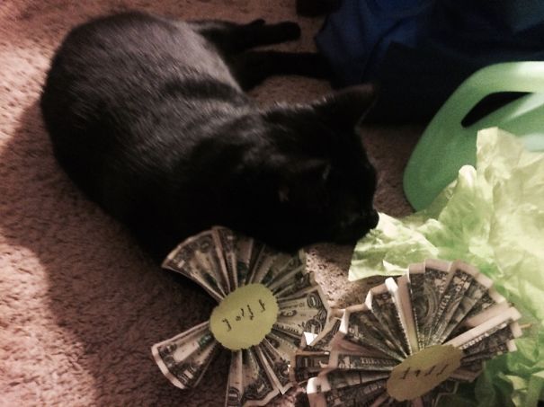 I Needs Your Money Tree!!!