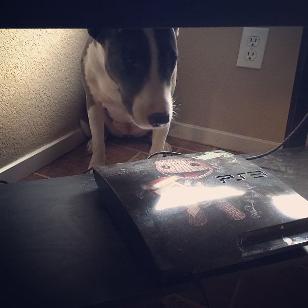 Disconnected All The Cables From The Tv