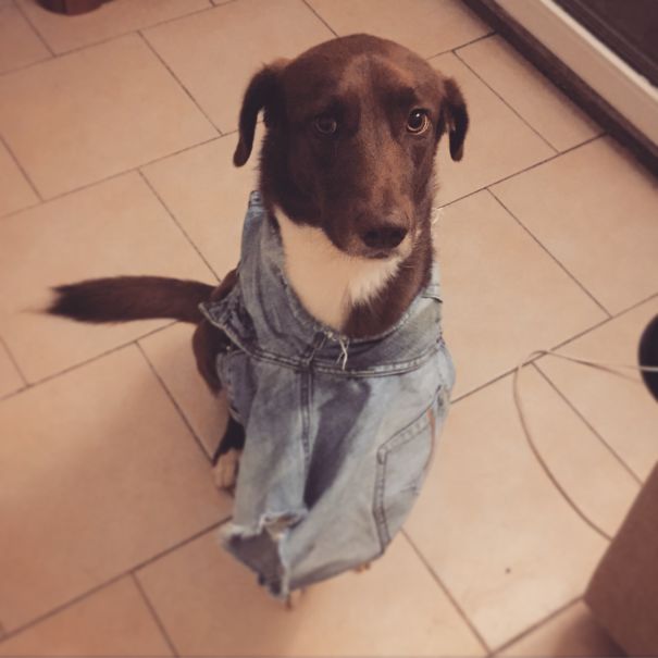 Got His New Style For The Next Fashion Week.