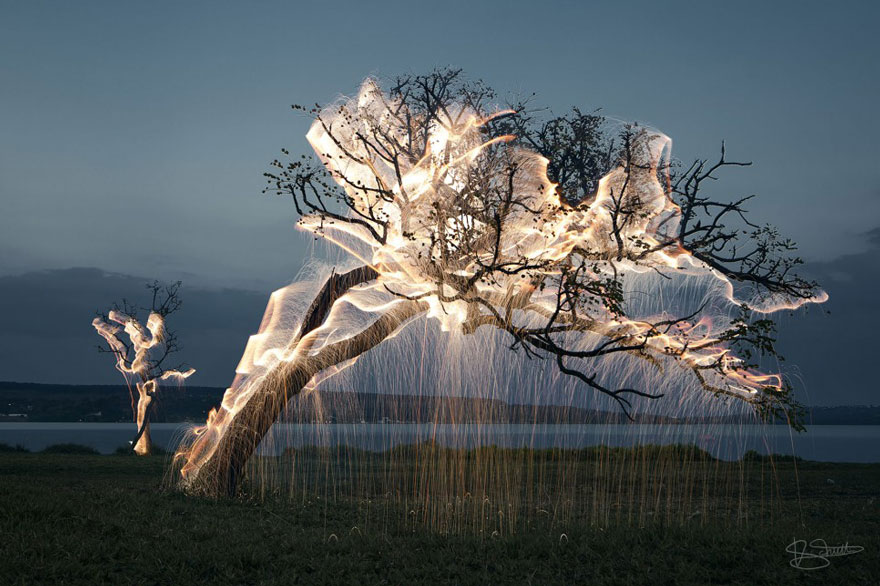 impermanent-sculptures-firework-tree-photography-vitor-schietti-12