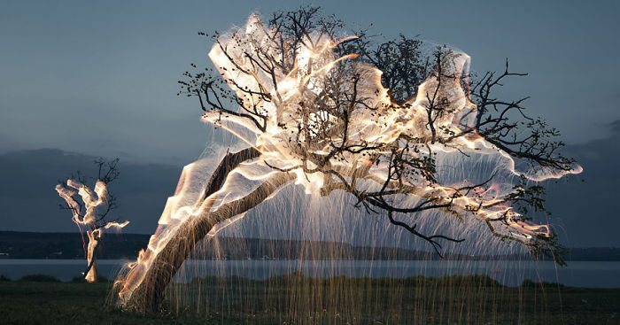 Light Drips From Trees In Long-Exposure Photos By Vitor Schietti