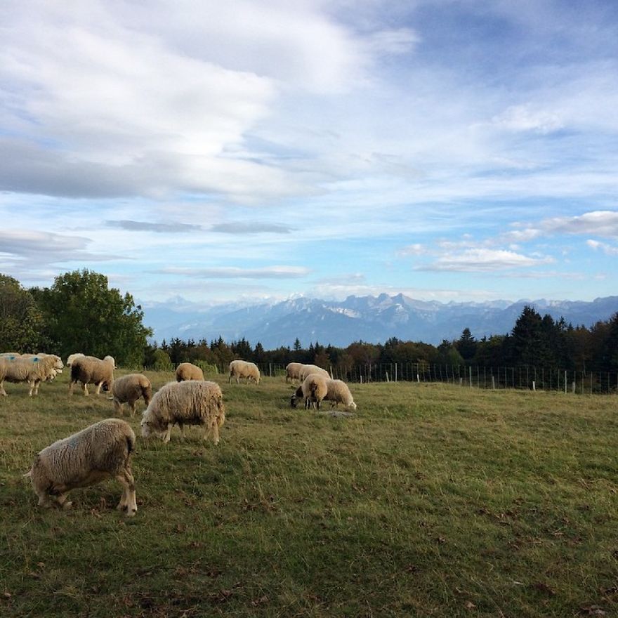 In The Last 12 Months, I Traveled To 24 Countries To Fill The Emptiness In My Life In The Last 12 Months, I Traveled To 24 Countries To Fill The Emptiness In My Life