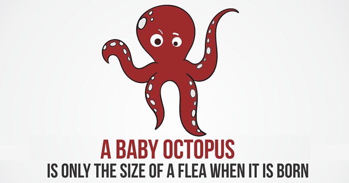 10 Interesting And Fun Facts