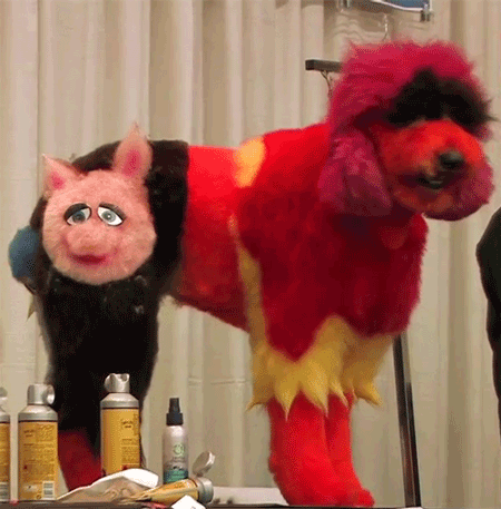 27 Furry Halloween Ideas To Make You Smile [in Gifs]