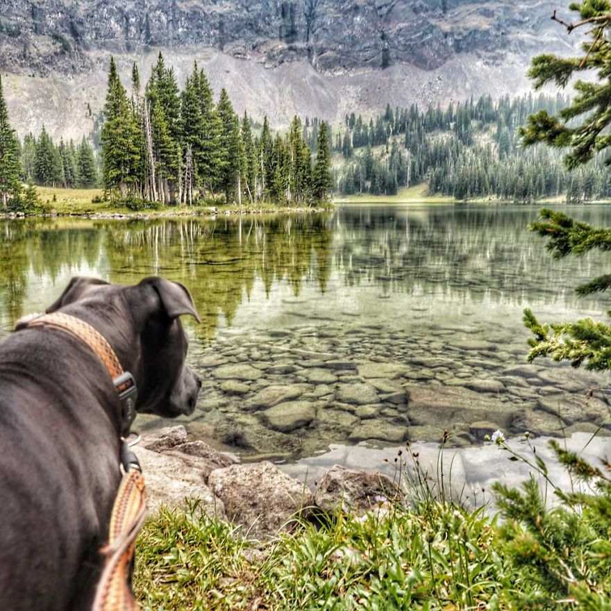 I Live In My Truck With My Dog And Travel Across The Country (Part 2) I Live In My Truck With My Dog And Travel Across The Country (Part 2)