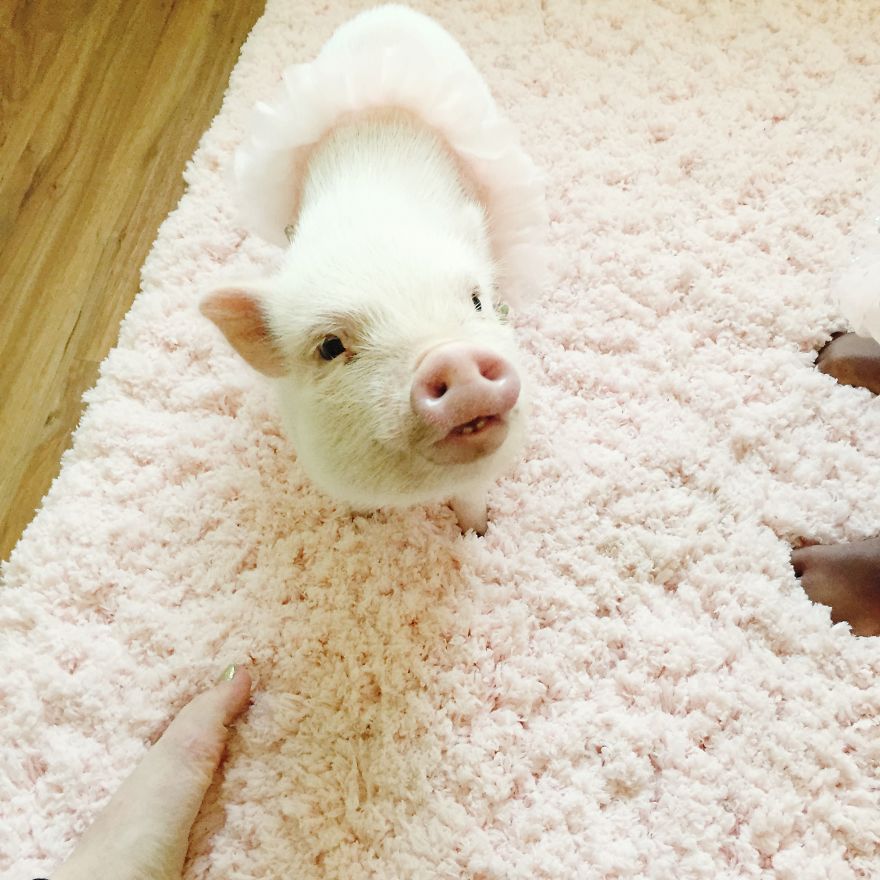 Libby And Pearl Are Cute Best Friends That Play In Matching Halloween Costumes