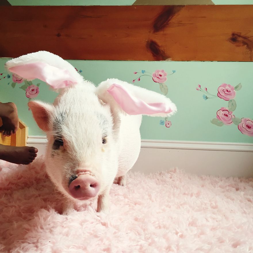 Libby And Pearl Are Cute Best Friends That Play In Matching Halloween Costumes