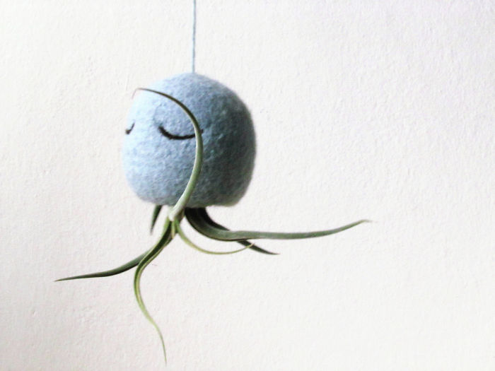 Octopus Air Plant Holder