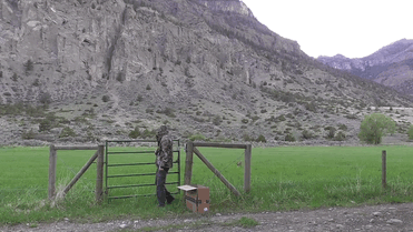 man-saves-injured-baby-deer-animal-friendship-8 man-saves-injured-baby-deer-animal-friendship-8