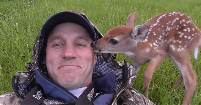 Baby Deer Refuses To Leave The Human Who Saved Her Life