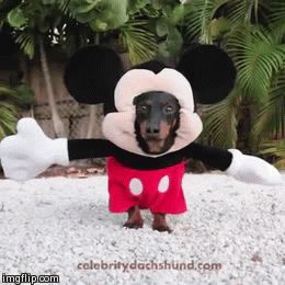 27 Furry Halloween Ideas To Make You Smile [in Gifs]