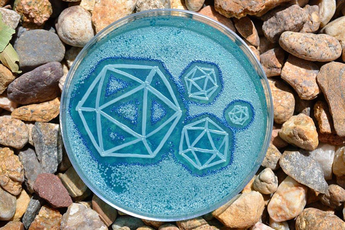 microbe-art-petri-dish-agar-contest-van-gogh-starry-night-american-society-microbiologists-45