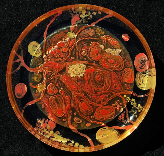 microbe-art-petri-dish-agar-contest-van-gogh-starry-night-american-society-microbiologists-46