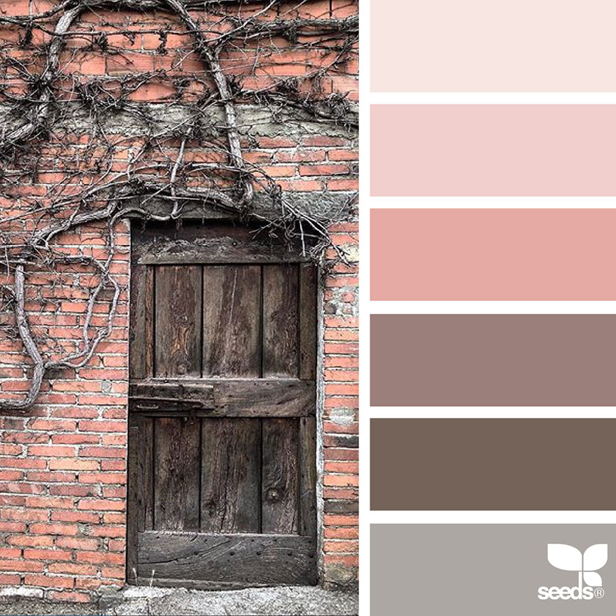 nature-colors-palette-design-seeds-jessica-colaluca-10 nature-colors-palette-design-seeds-jessica-colaluca-10