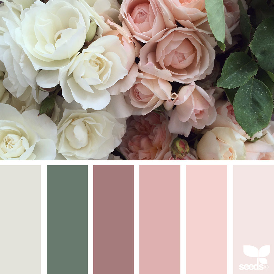 nature-colors-palette-design-seeds-jessica-colaluca-13 nature-colors-palette-design-seeds-jessica-colaluca-13