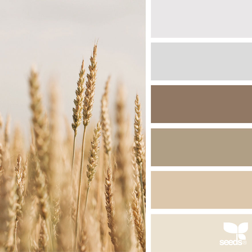 nature-colors-palette-design-seeds-jessica-colaluca-17 nature-colors-palette-design-seeds-jessica-colaluca-17