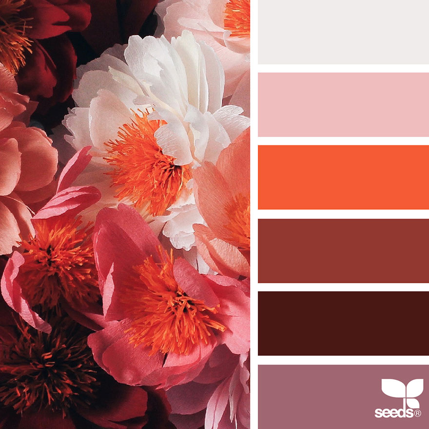 nature-colors-palette-design-seeds-jessica-colaluca-19 nature-colors-palette-design-seeds-jessica-colaluca-19