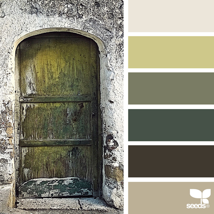 nature-colors-palette-design-seeds-jessica-colaluca-20 nature-colors-palette-design-seeds-jessica-colaluca-20