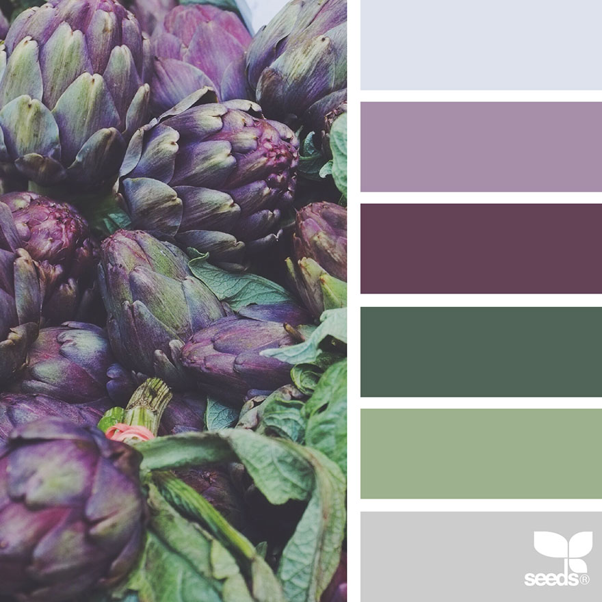 nature-colors-palette-design-seeds-jessica-colaluca-3 nature-colors-palette-design-seeds-jessica-colaluca-3