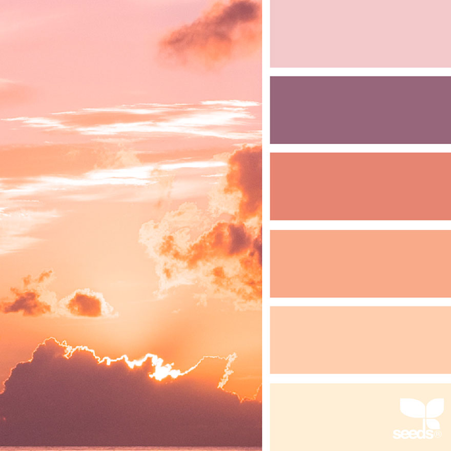 nature-colors-palette-design-seeds-jessica-colaluca-4