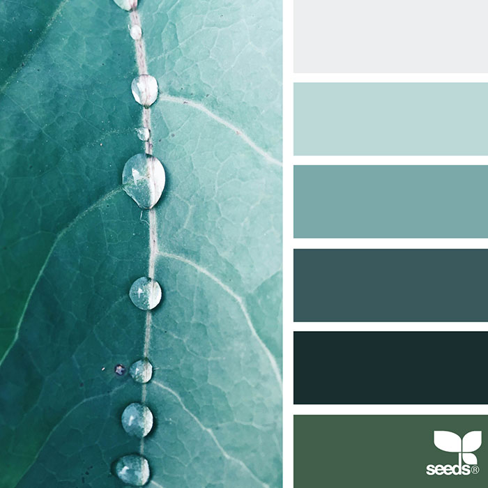 Nature-Inspired Color Palettes AKA Design Seeds For Designers, Crafters And Home Decorators